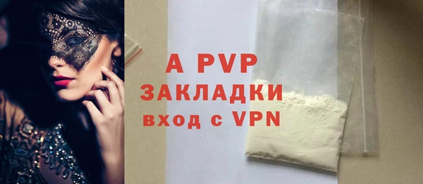ПСИЛОЦИБИНОВЫЕ ГРИБЫ Корсаков