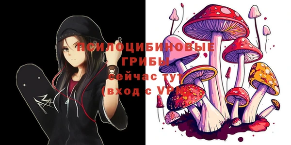 круглые Козельск