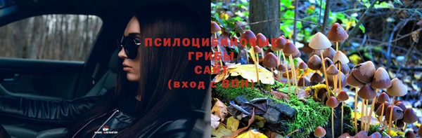 ПСИЛОЦИБИНОВЫЕ ГРИБЫ Корсаков