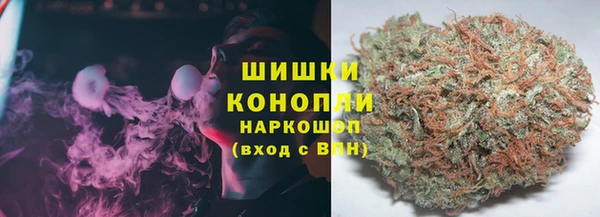ПСИЛОЦИБИНОВЫЕ ГРИБЫ Корсаков